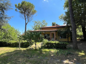 I Noci Rimini